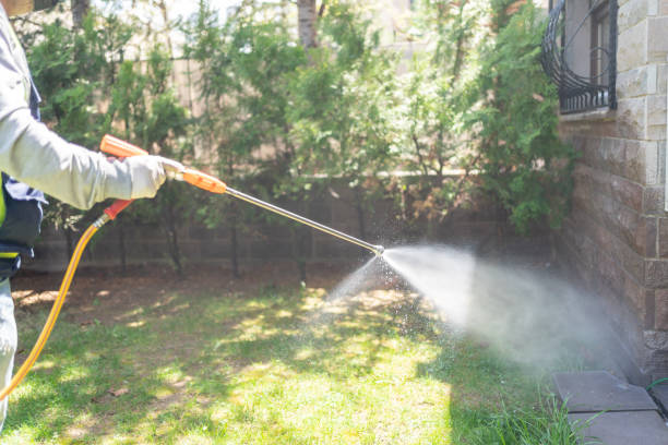 Best Exterminator Services  in Edneyville, NC