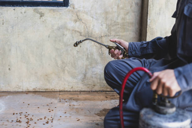 Pest Prevention Services in Edneyville, NC